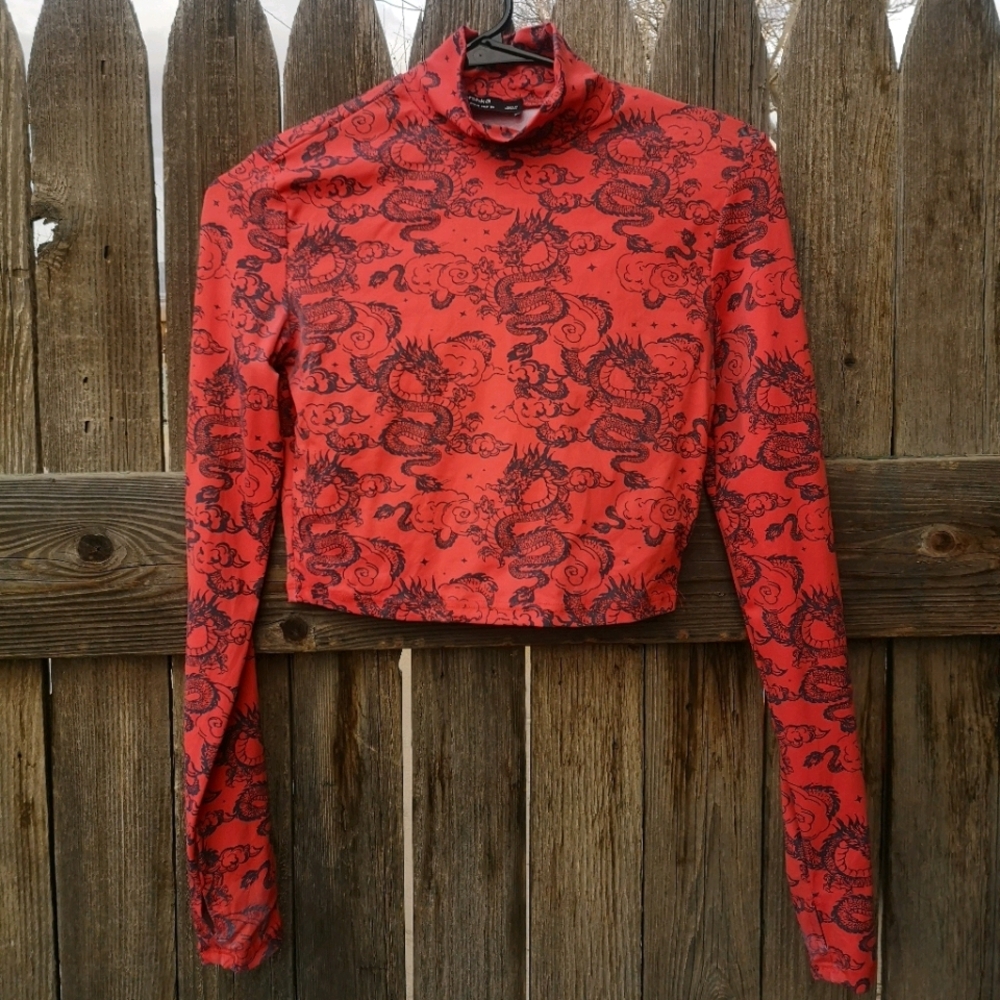 Bershka Mock Neck Dragon Long Sleeve Crop …